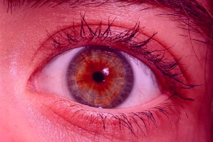 Abigail, 23, a red hazel-eyed european companion based in Taragudo. Offering Duos, CIM, Domination. Available for incall and outcall, day and evening dates.