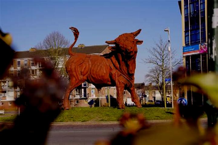 Abigail, 23 — Escort in De Kruiskamp, Netherlands