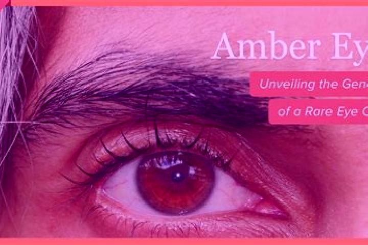 Abigail, 24, a black amber-eyed caucasian companion based in Oberlangen. Offering Massage, Couples, OWO, Striptease, GFE. Available for incall and outcall, d...