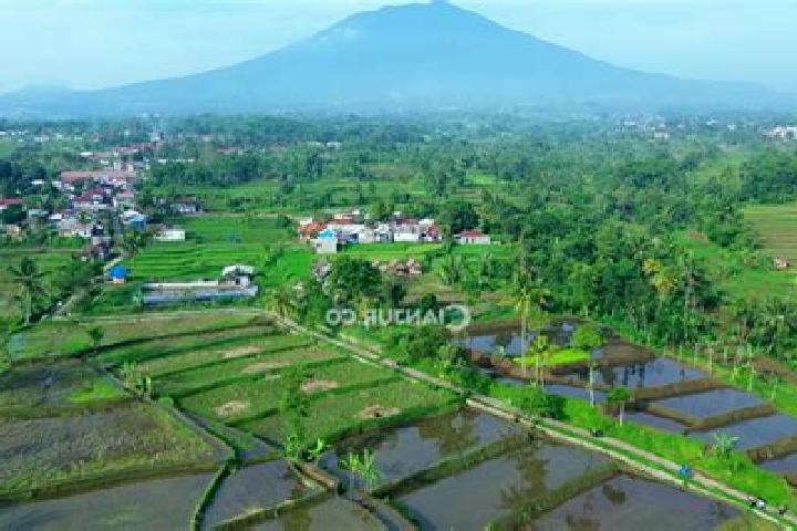 Abigail, 24 — Escort in Karangtengah, Indonesia