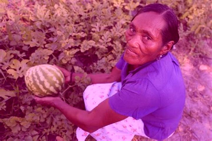 Abigail, 24 — Escort in Palkaka, Honduras