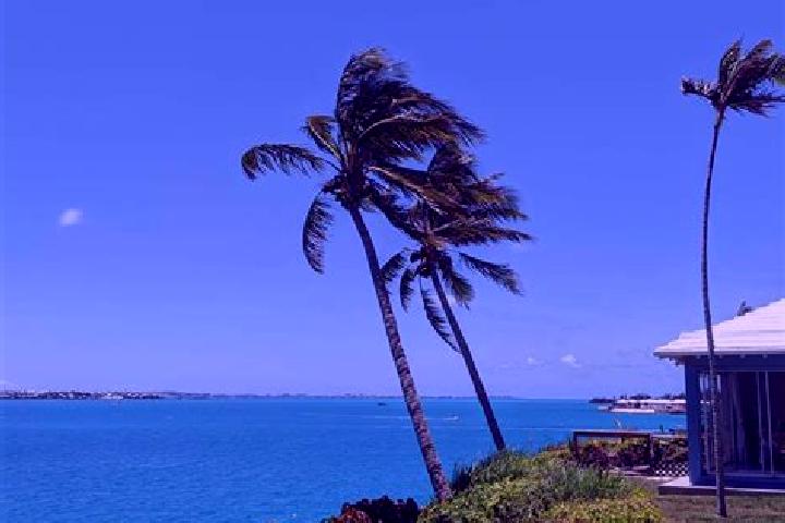 Abigail, 24 — Escort in Somerset, Bermuda