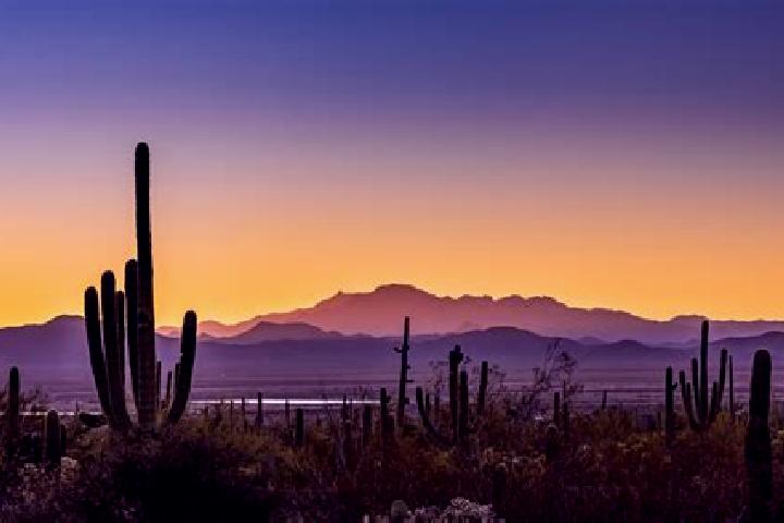 Abigail, 24 — Escort in South Tucson, United States
