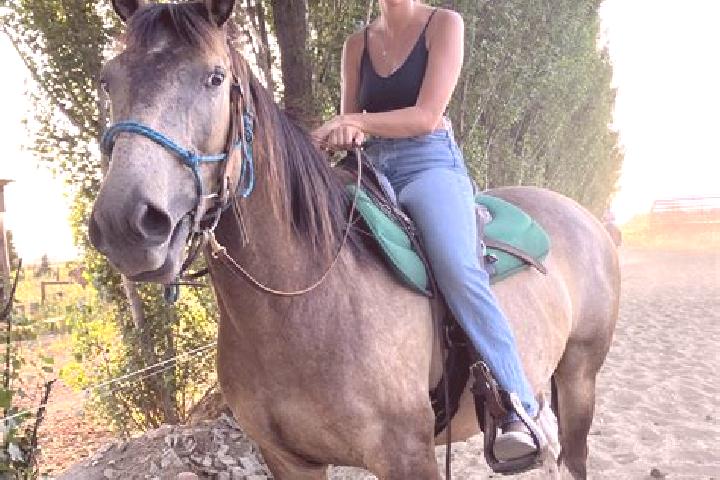 Abigail, 24 — Escort in Tesedikovo, Slovakia
