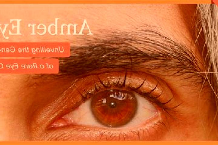 Abigail, 25, a red amber-eyed european companion based in Prymiske. Offering Couples, BDSM, Girlfriend Experience, Dinner Date, GFE. Available for incall and...