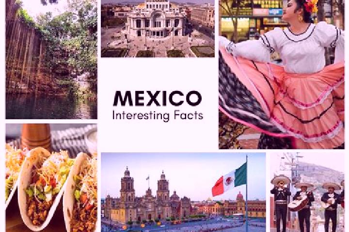 Abigail, 25 — Escort in Lo Arado, Mexico
