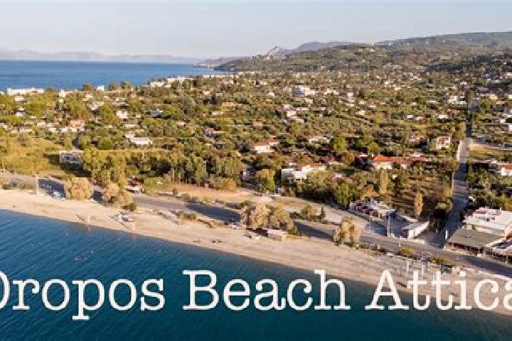 Abigail, 25 — Escort in Neos Oropos, Greece
