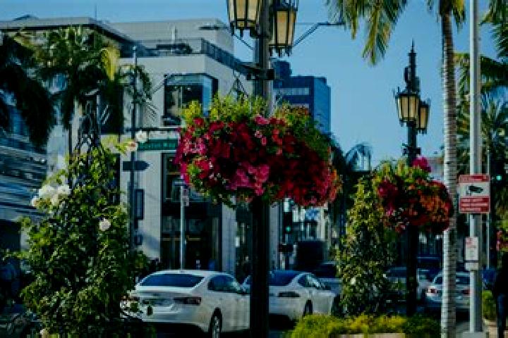 Abigail, 25 — Escort in Santa Ana Viejo, Mexico