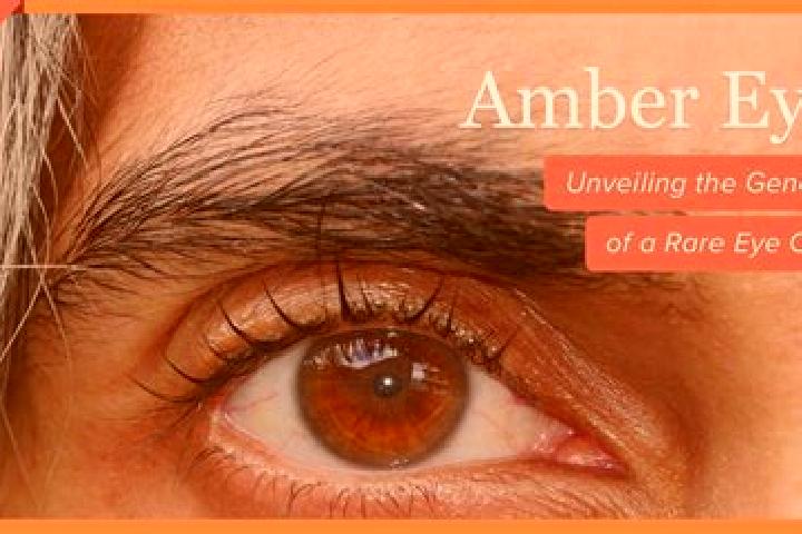 Abigail, 26, a red amber-eyed european companion based in Mbonouan. Offering A-Level, Tantra, OWO. Available for incall and outcall, overnight bookings avail...