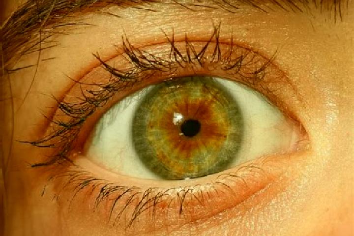 Abigail, 26, a red hazel-eyed indian companion based in Buram. Offering Party Girl, BDSM, 69. Available for incall and outcall, overnight bookings available.