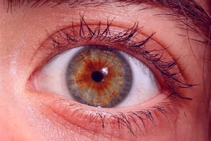 Abigail, 26, a red hazel-eyed latina companion based in Atzelgift. Offering Dinner Date, BDSM, Couples, Overnight. Available for incall and outcall, day and ...