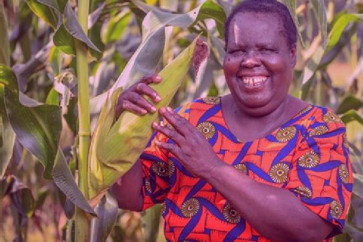 Abigail, 26 — Escort in Kiryandongo, Uganda