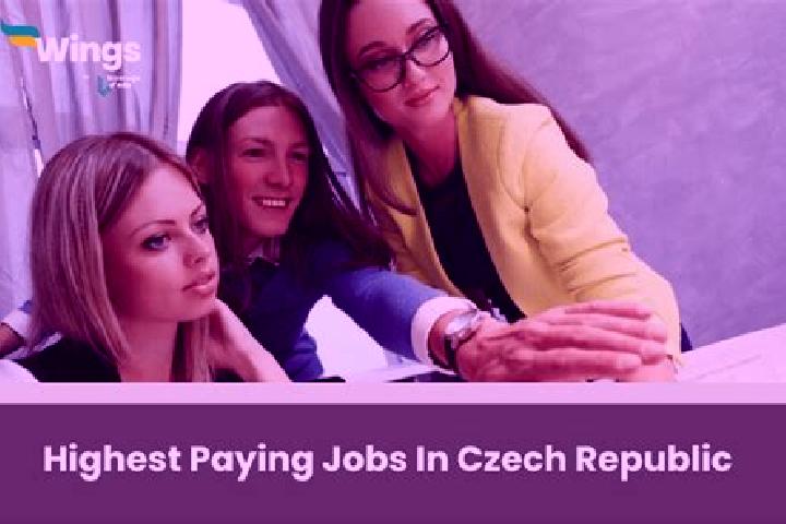 Abigail, 26 — Escort in Skripov, Czech Republic