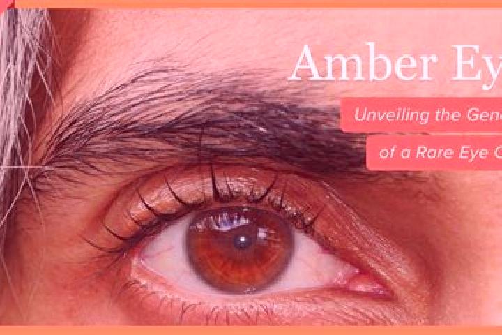 Abigail, 27, a black amber-eyed mixed companion based in Les Arcs. Offering BDSM, Fetish, Dinner Date, Striptease. Available for incall and outcall, overnigh...