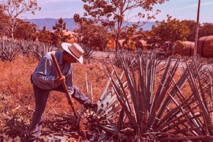 Abigail, 27 — Escort in San Juan Bautista Jayacatlan, Mexico