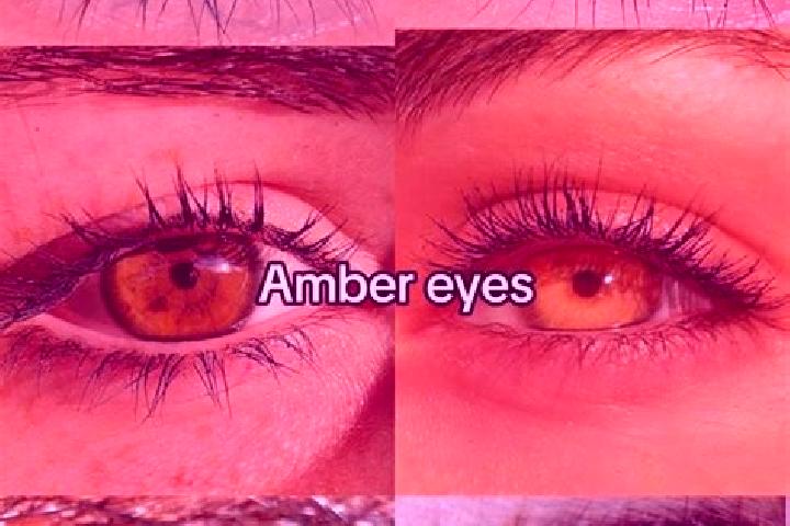 Abigail, 28, a chestnut amber-eyed european companion based in Grindale. Offering Roleplay, Deep French Kissing, Overnight, Girlfriend Experience. Available ...