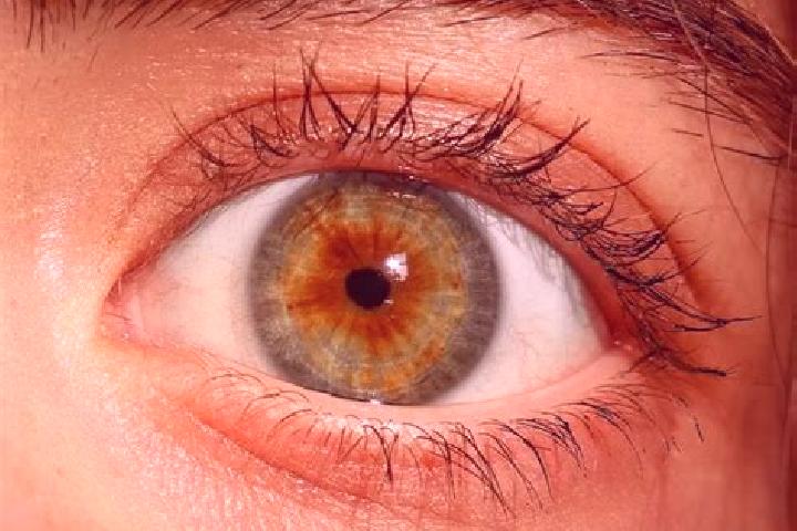 Abigail, 28, a red hazel-eyed mediterranean companion based in Wapakoneta. Offering OWO, Fetish, Couples. Available for incall and outcall, day and evening d...