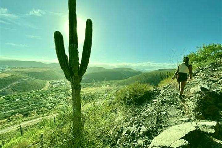 Abigail, 28 — Escort in Cerro de la Palma, Mexico
