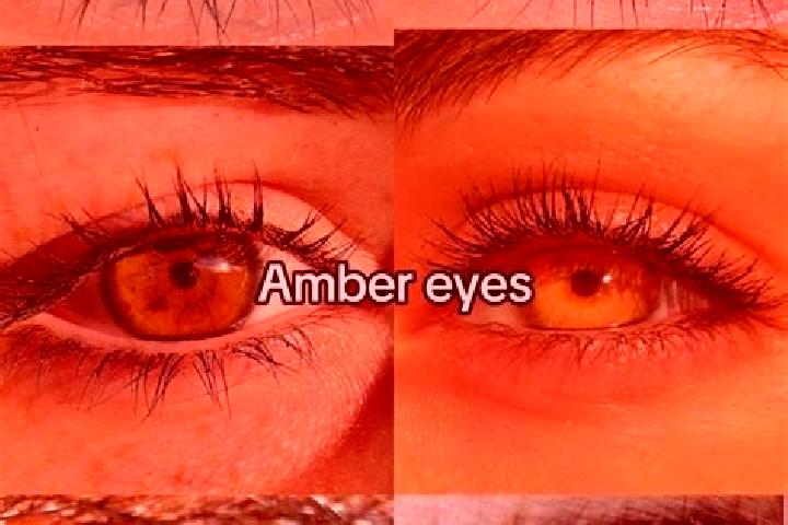 Abigail, 29, a brunette amber-eyed indian companion based in Palali. Offering Overnight, Massage, Striptease, OWO, BDSM. Available for incall and outcall, da...