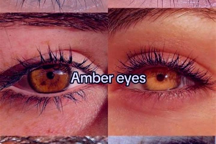Abigail, 29, a brunette amber-eyed middle eastern companion based in Alda. Offering Girlfriend Experience, CIM, Erotic Massage, Roleplay, GFE. Available for ...