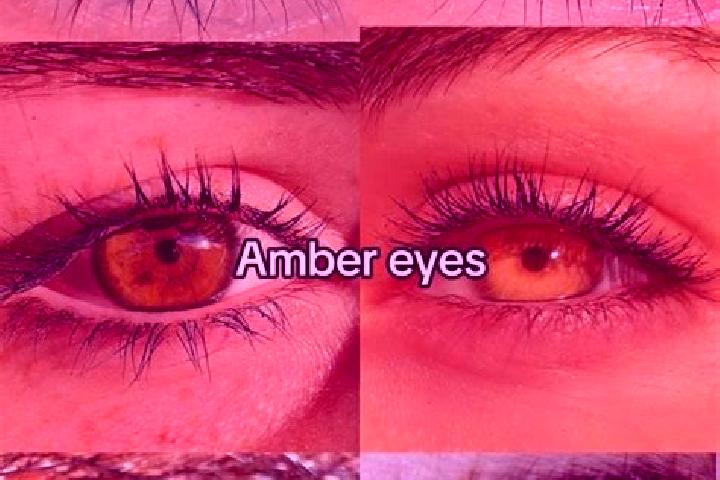 Abigail, 29, a chestnut amber-eyed asian companion based in Lindenheuvel. Offering Overnight, Massage, BDSM. Available for incall and outcall, day and evenin...
