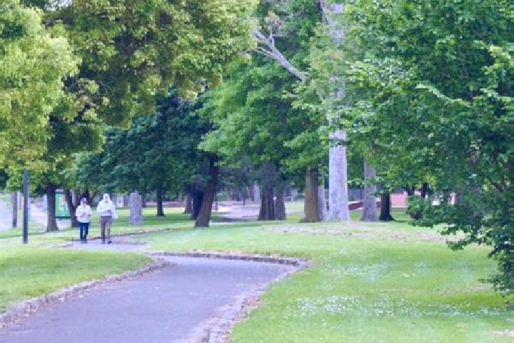 Abigail, 29 — Escort in Croydon Park, Australia