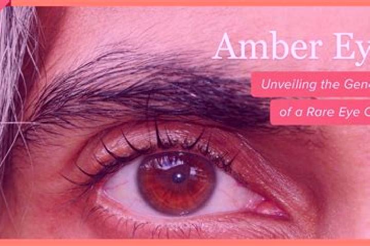 Abigail, 30, a black amber-eyed mediterranean companion based in Chum Phae. Offering Prostate Massage, Fetish, 69, Tantra, OWO. Available for incall and outc...