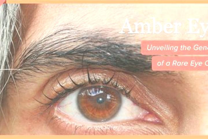 Abigail, 30, a red amber-eyed indian companion based in Penitro. Offering 69, Overnight, Striptease. Available for incall and outcall, overnight bookings ava...