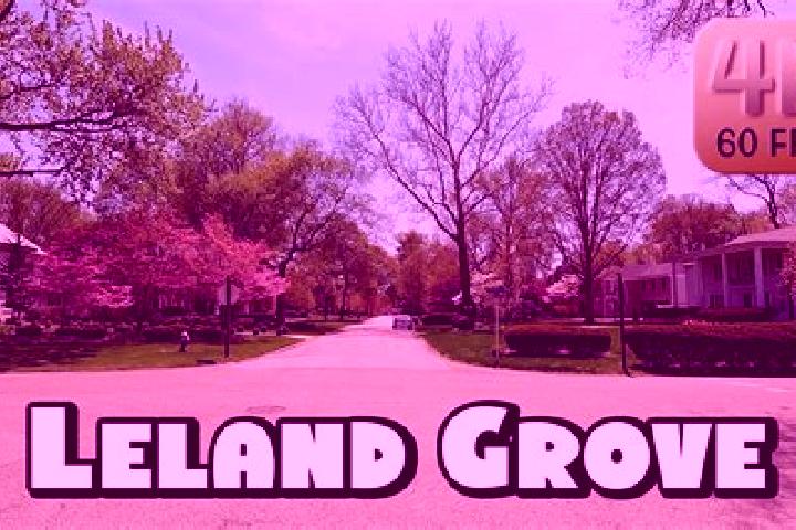 Abigail, 30 — Escort in Leland Grove, United States