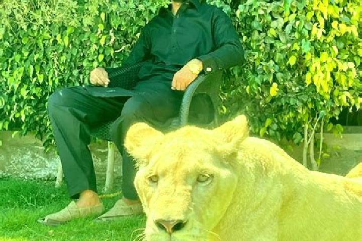 Abigail, 30 — Escort in Sehnsa, Pakistan