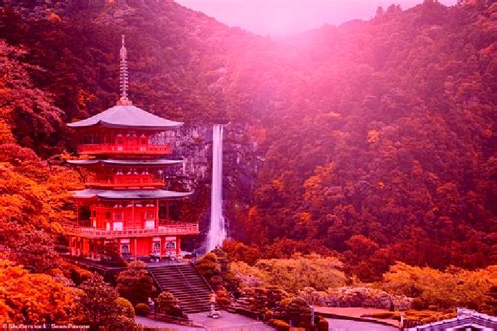 Abigail, 30 — Escort in Wakayama, Japan