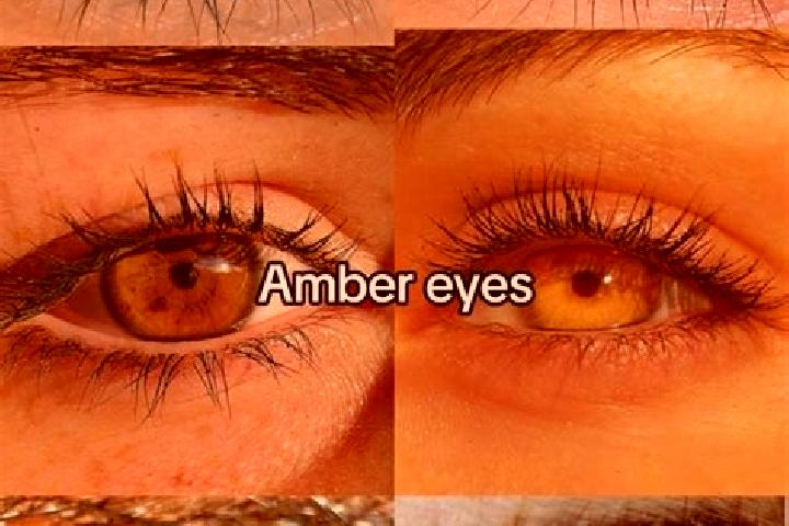 Abigail, 31, a chestnut amber-eyed latina companion based in Roxana. Offering Tantra, Deep French Kissing, A-Level, Overnight. Available for incall and outca...