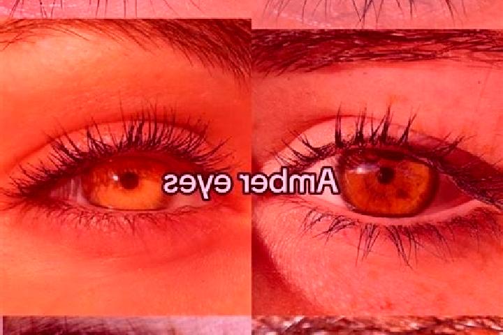 Abigail, 31, a chestnut amber-eyed mixed companion based in Rusera. Offering Erotic Massage, Dinner Date, Duos, GFE, Massage. Available for incall and outcal...