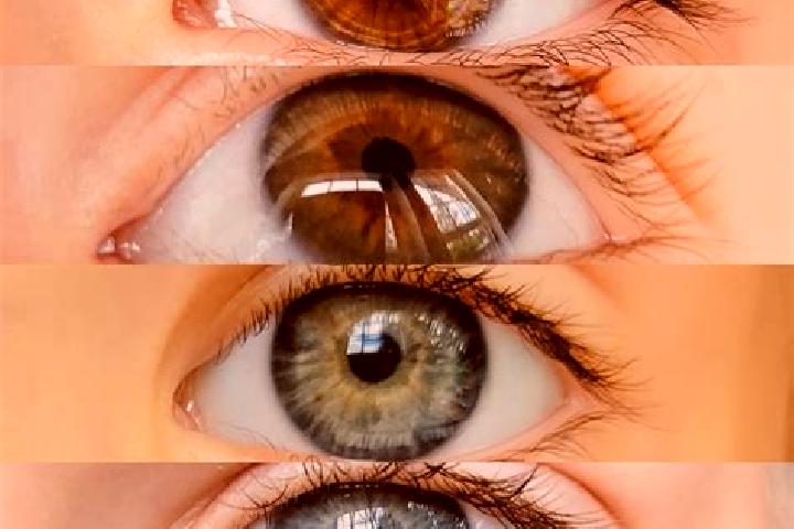 Abigail, 31, a chestnut green-eyed mixed companion based in Parcelas La Milagrosa. Offering Tantra, Couples, Duos. Available for incall and outcall, overnigh...