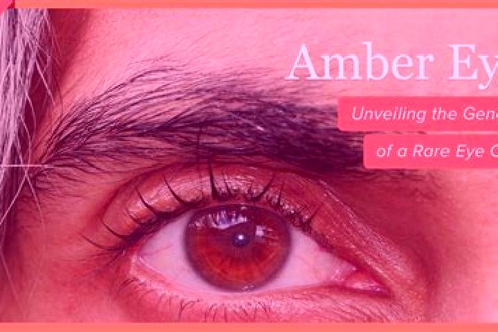 Abigail, 32, a black amber-eyed indian companion based in Dualing. Offering Duos, Overnight, Couples, A-Level. Available for incall and outcall, overnight bo...