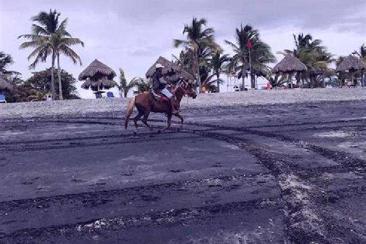 Abigail, 32 — Escort in El Chiru, Panama