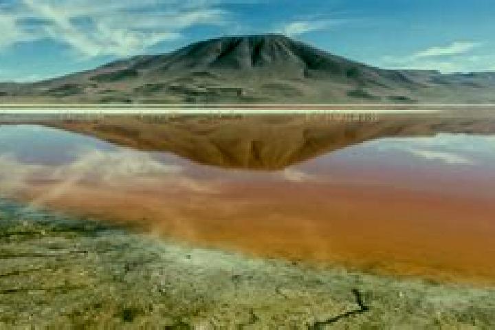 Abigail, 32 — Escort in Laguna Colorada, Mexico