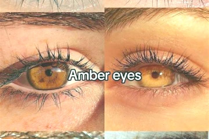 Abigail, 33, a chestnut amber-eyed indian companion based in Sherkot. Offering Tantra, Overnight, Girlfriend Experience, Roleplay. Available for incall and o...