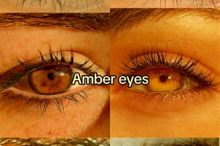 Abigail, 34, a brunette amber-eyed caucasian companion based in Tatebal. Offering Deep French Kissing, Girlfriend Experience, BDSM, Overnight. Available for ...