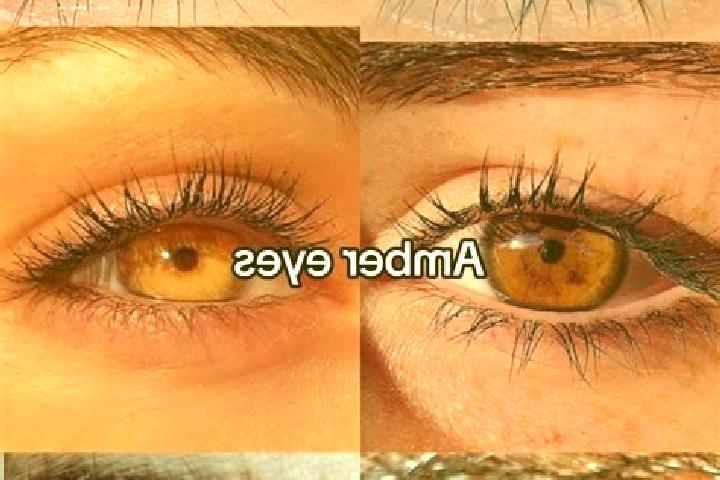 Abigail, 34, a chestnut amber-eyed caucasian companion based in Purabaya. Offering Prostate Massage, BDSM, Domination, 69. Available for incall and outcall, ...