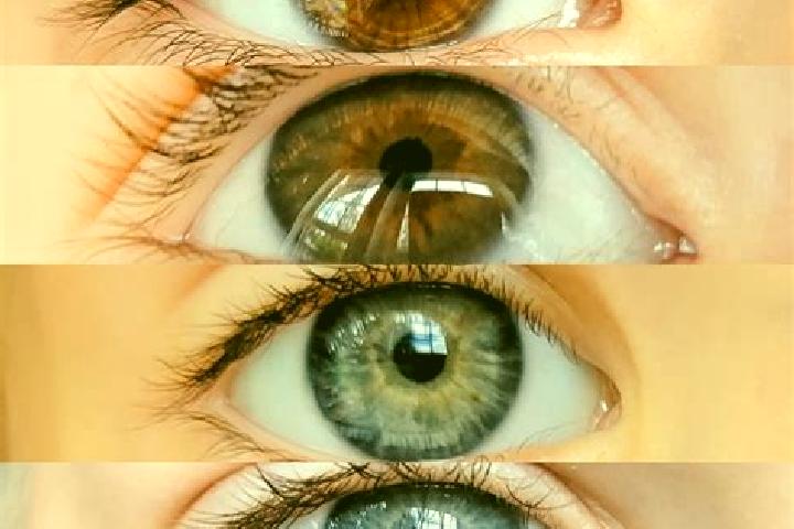 Abigail, 34, a chestnut dark-eyed mixed companion based in San Pedro Huamburque. Offering A-Level, CIM, 69, Duos. Available for incall and outcall, overnight...