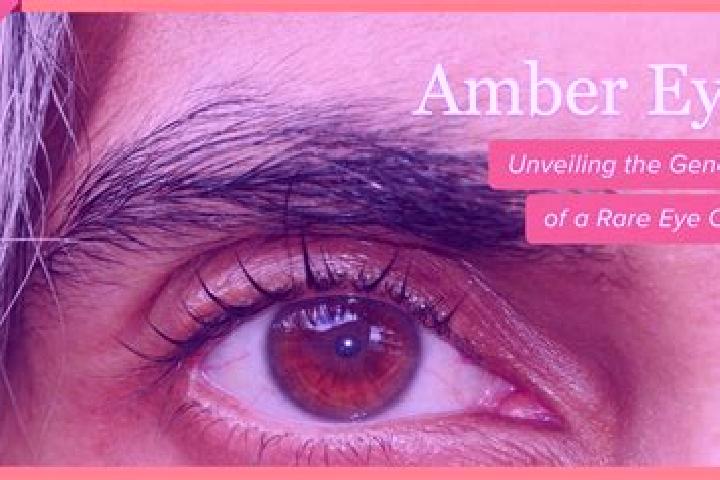 Abigail, 34, a red amber-eyed latina companion based in Apia. Offering Fetish, Duos, OWO, BDSM, CIM. Available for incall and outcall, day and evening dates.