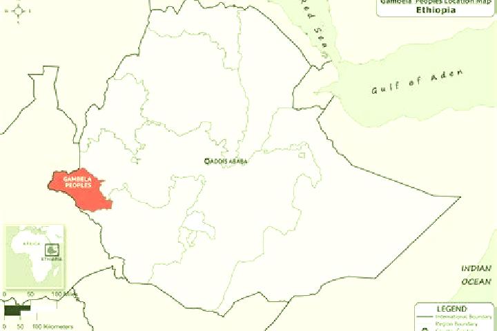 Abigail, 34 — Escort in Gambela, Ethiopia