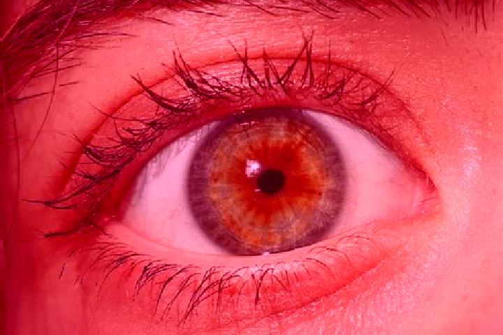 Abigail, 35, a red hazel-eyed indian companion based in Cuyoaco. Offering Massage, Deep French Kissing, 69, Tantra, BDSM. Available for incall and outcall, d...