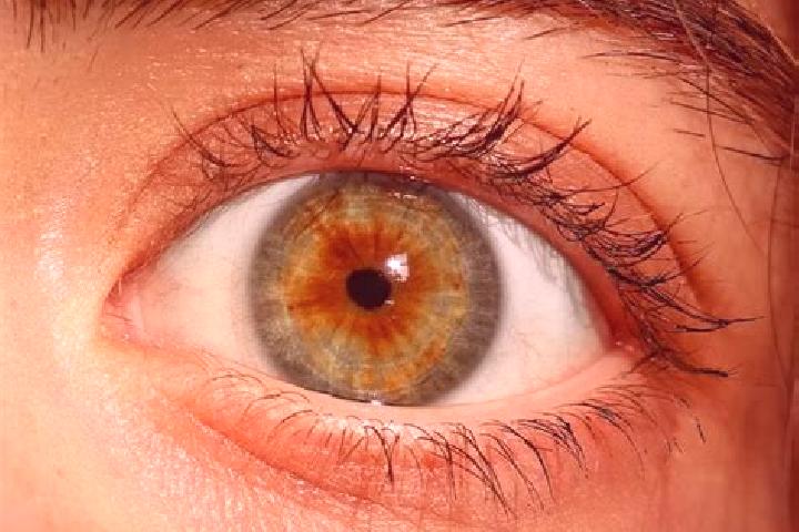 Abigail, 35, a red hazel-eyed slavic companion based in Wenceslao Escalante. Offering Overnight, BDSM, 69, OWO. Available for incall and outcall, overnight b...