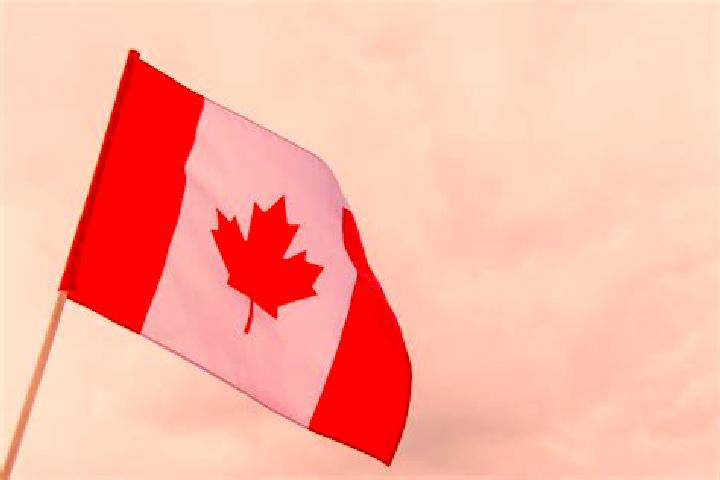 Abigail, 35 — Escort in Bell s Turn, Canada