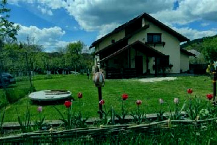 Abigail, 35 — Escort in Bradulet, Romania