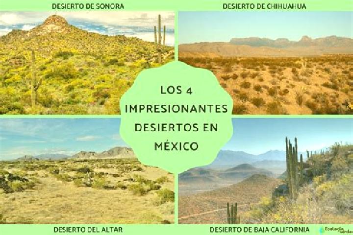Abigail, 35 — Escort in El Desierto, Mexico