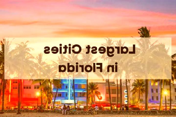 Abigail, 35 — Escort in Florida City, United States