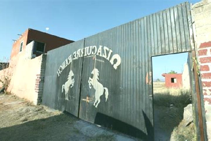 Abigail, 35 — Escort in Rancho de Pala, Mexico